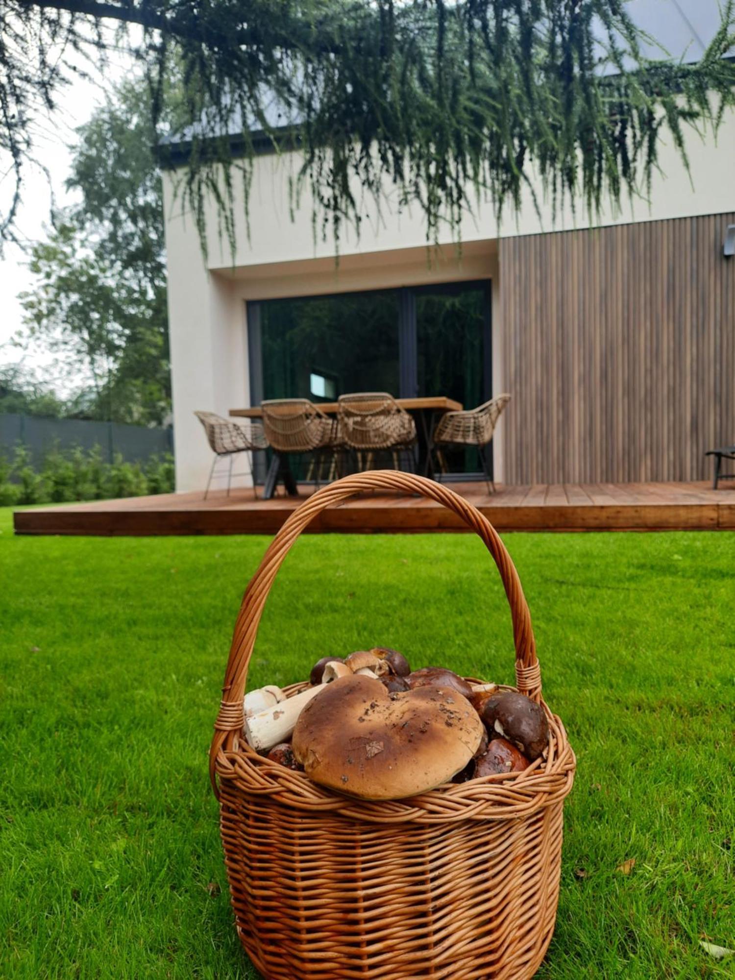 Sosnowe Zacisze Villa Sasino Exterior photo
