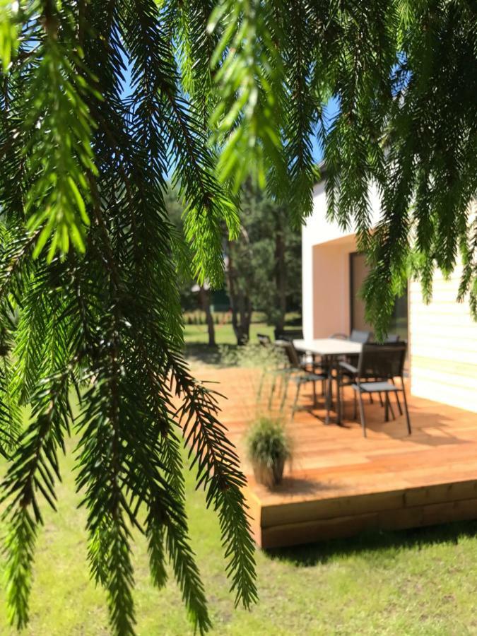 Sosnowe Zacisze Villa Sasino Exterior photo